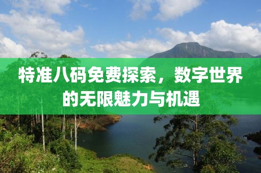 特准八码免费探索，数字世界的无限魅力与机遇