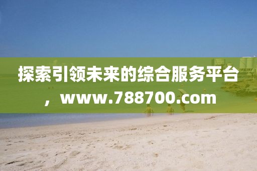探索引领未来的综合服务平台，www.788700.com