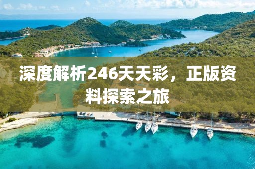 深度解析246天天彩，正版资料探索之旅