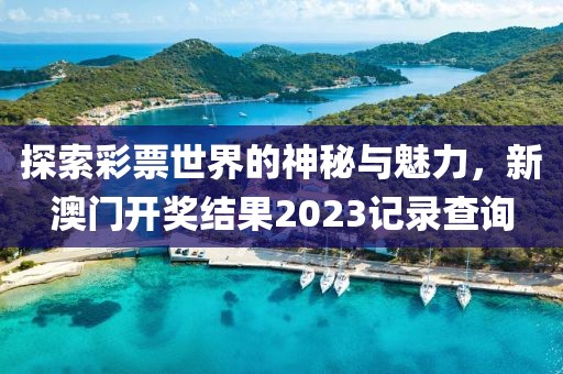 新澳门开奖结果2023开奖记录查询