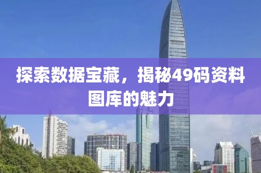 探索数据宝藏，揭秘49码资料图库的魅力