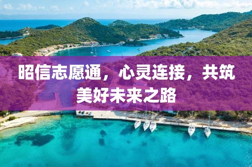 昭信志愿通，心灵连接，共筑美好未来之路