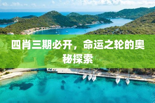 四肖三期必开，命运之轮的奥秘探索