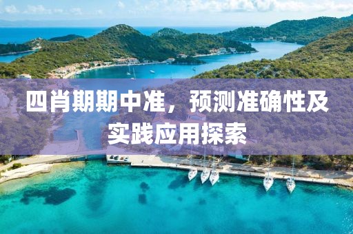 四肖期期中准，预测准确性及实践应用探索