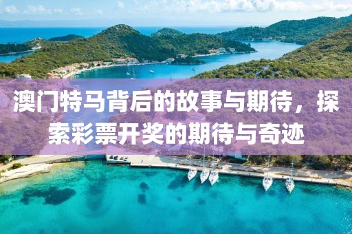 澳门特马背后的故事与期待，探索彩票开奖的期待与奇迹