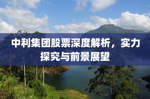 中利集团股票深度解析，实力探究与前景展望