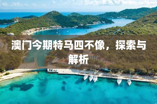 澳门今期特马四不像，探索与解析