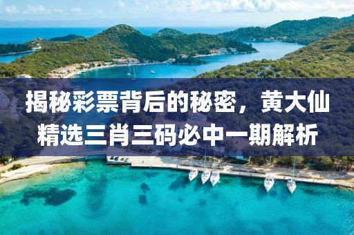 揭秘彩票背后的秘密，黄大仙精选三肖三码必中一期解析