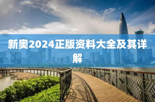新奥2024正版资料大全及其详解