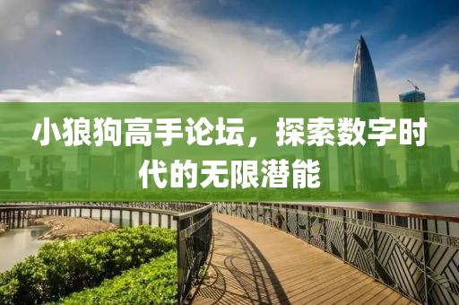 小狼狗高手论坛，探索数字时代的无限潜能