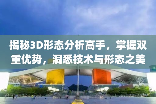 揭秘3D形态分析高手，掌握双重优势，洞悉技术与形态之美