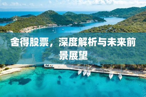 舍得股票，深度解析与未来前景展望