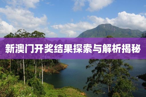 新澳门开奖结果探索与解析揭秘