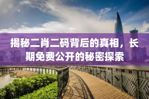 揭秘二肖二码背后的真相，长期免费公开的秘密探索