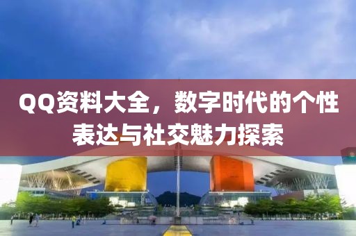 QQ资料大全，数字时代的个性表达与社交魅力探索