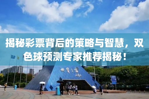 揭秘彩票背后的策略与智慧，双色球预测专家推荐揭秘！