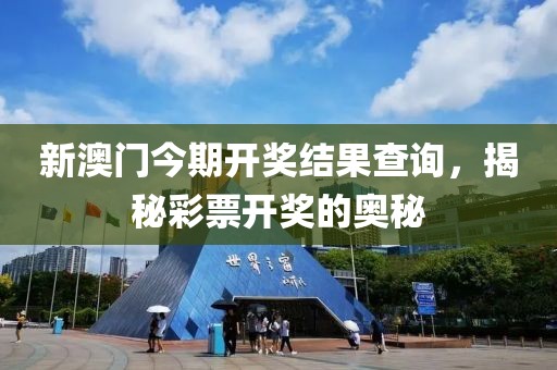 新澳门今期开奖结果查询，揭秘彩票开奖的奥秘