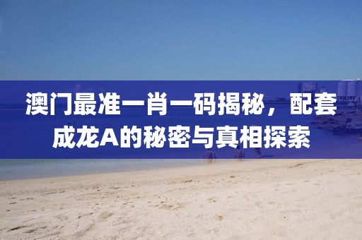 澳门最准一肖一码揭秘，配套成龙A的秘密与真相探索