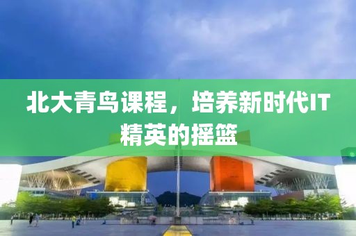 北大青鸟课程，培养新时代IT精英的摇篮
