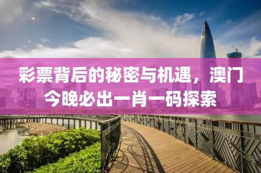 彩票背后的秘密与机遇，澳门今晚必出一肖一码探索