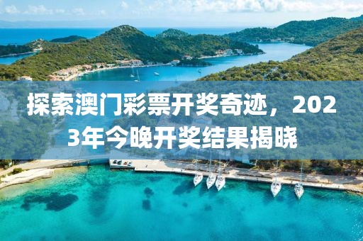 2023年今晚澳门开奖结果