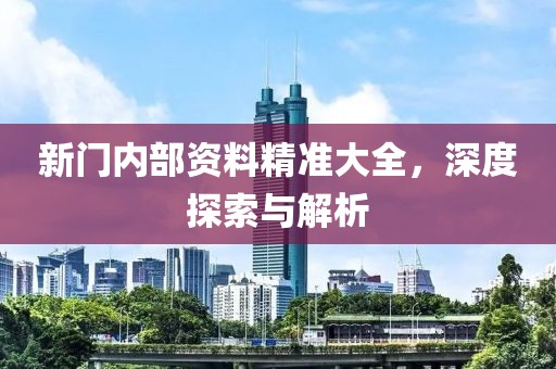 新门内部资料精准大全，深度探索与解析