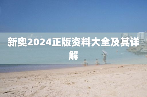 新奥2024正版资料大全及其详解