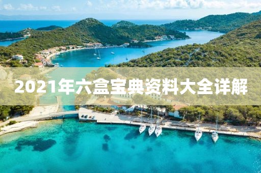 2021年六盒宝典资料大全详解
