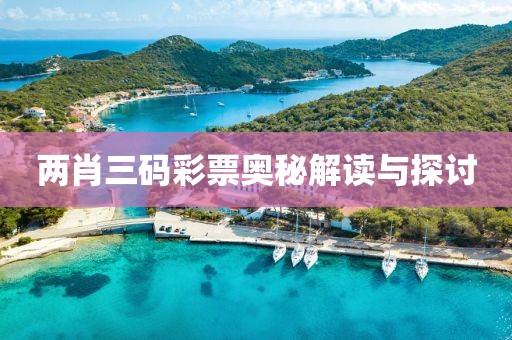 两肖三码彩票奥秘解读与探讨