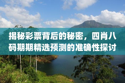 揭秘彩票背后的秘密，四肖八码期期精选预测的准确性探讨
