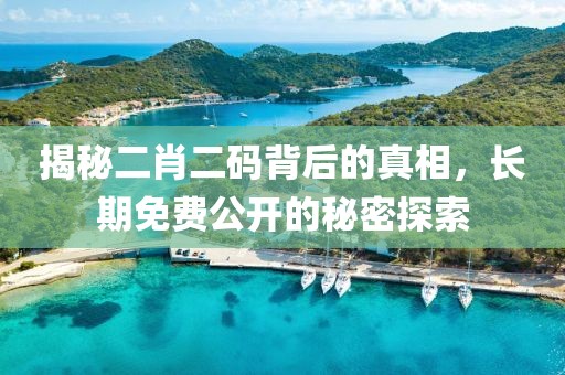 揭秘二肖二码背后的真相，长期免费公开的秘密探索