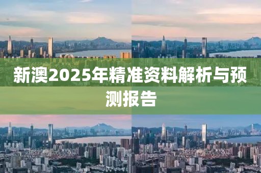 新澳2025年精准资料解析与预测报告