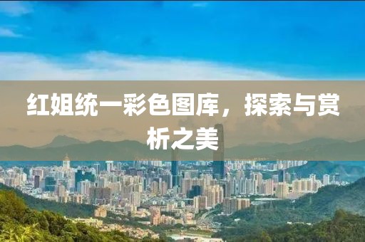 红姐统一彩色图库，探索与赏析之美