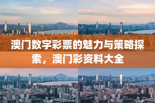 澳门数字彩票的魅力与策略探索，澳门彩资料大全