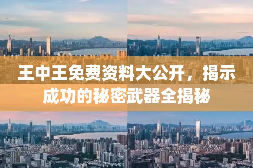 王中王免费资料大公开，揭示成功的秘密武器全揭秘