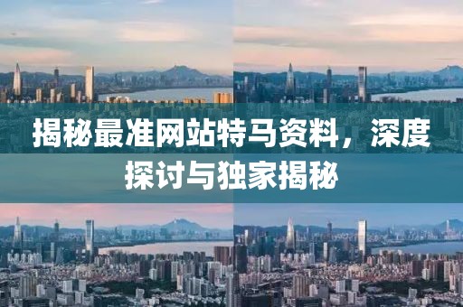 揭秘最准网站特马资料，深度探讨与独家揭秘