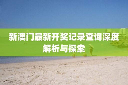新澳门最新开奖记录查询深度解析与探索