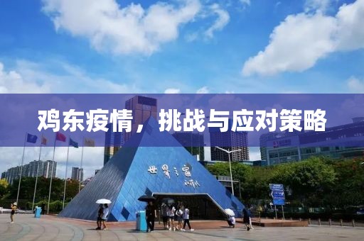鸡东疫情，挑战与应对策略