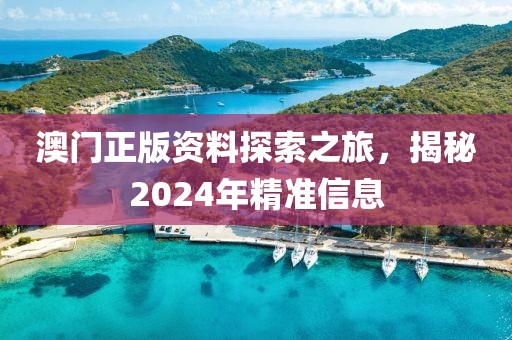 澳门正版资料探索之旅，揭秘2024年精准信息