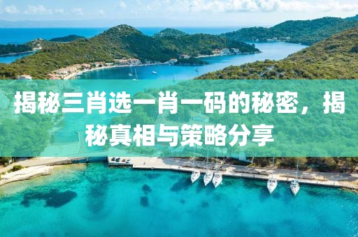 揭秘三肖选一肖一码的秘密，揭秘真相与策略分享