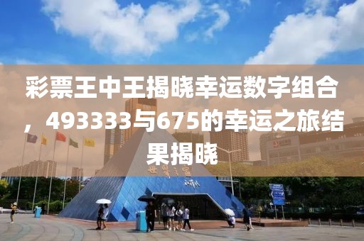 彩票王中王揭晓幸运数字组合，493333与675的幸运之旅结果揭晓