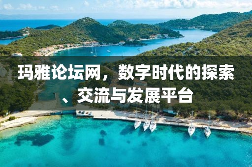 玛雅论坛网，数字时代的探索、交流与发展平台
