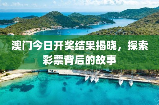 澳门今日开奖结果揭晓，探索彩票背后的故事