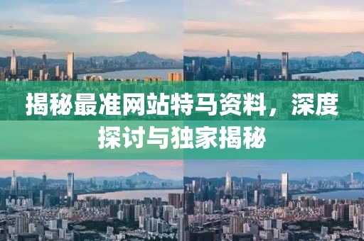 揭秘最准网站特马资料，深度探讨与独家揭秘
