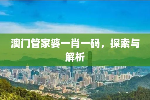 澳门管家婆一肖一码，探索与解析