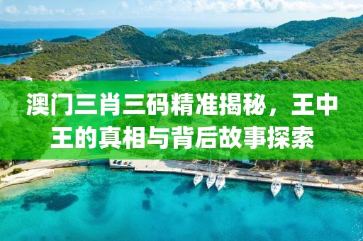 澳门三肖三码精准揭秘，王中王的真相与背后故事探索