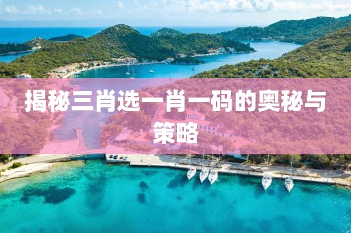 揭秘三肖选一肖一码的奥秘与策略