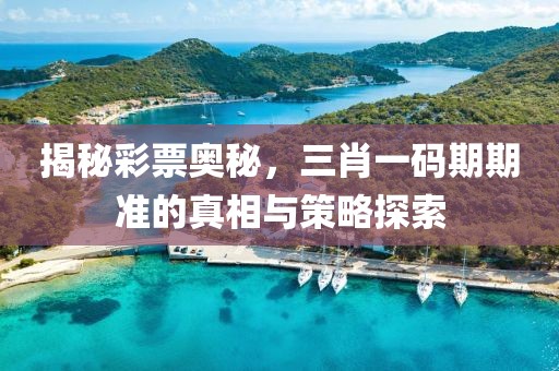 揭秘彩票奥秘，三肖一码期期准的真相与策略探索
