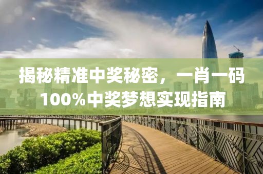 揭秘精准中奖秘密，一肖一码100%中奖梦想实现指南