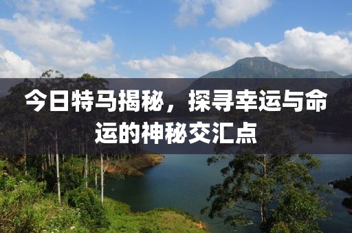 今日特马揭秘，探寻幸运与命运的神秘交汇点